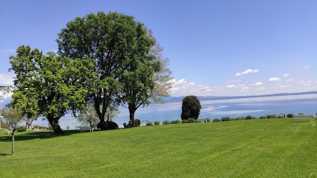 Front Lake Amazing View Манерба-дель-Гарда Екстер'єр фото
