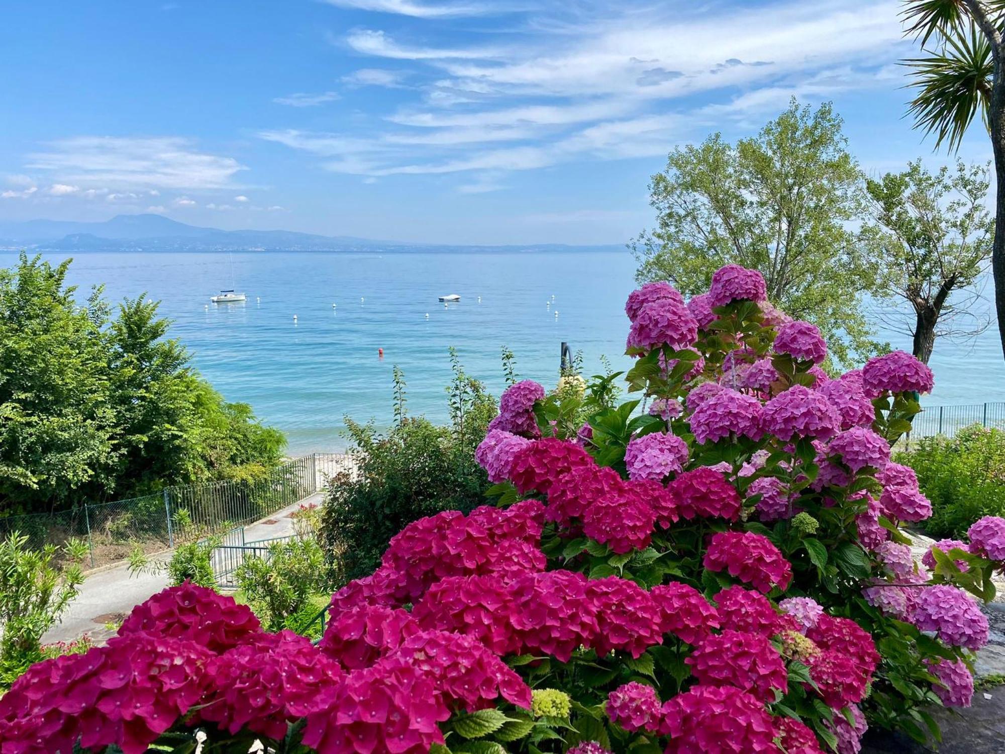Front Lake Amazing View Манерба-дель-Гарда Екстер'єр фото